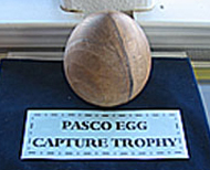 PASCO Egg